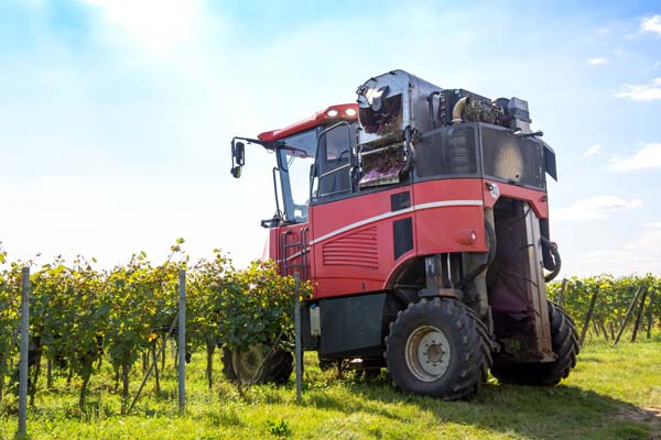 machine a vendanger