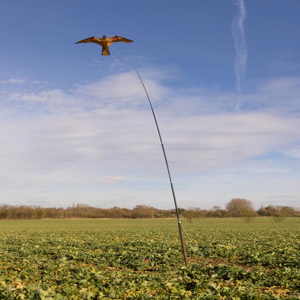 effaroucheur cerf-volant