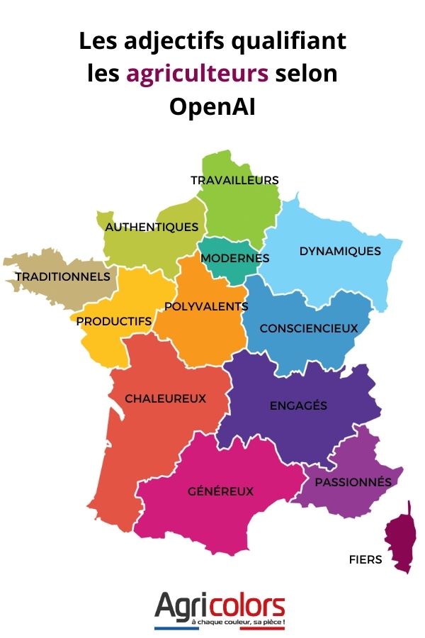 carte de la france découpée selon les adjectifs définit par l'intelligence artificielle chatGPT